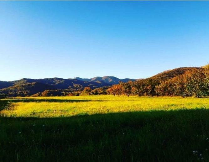 Casetta Gialla Giaveno Bagian luar foto